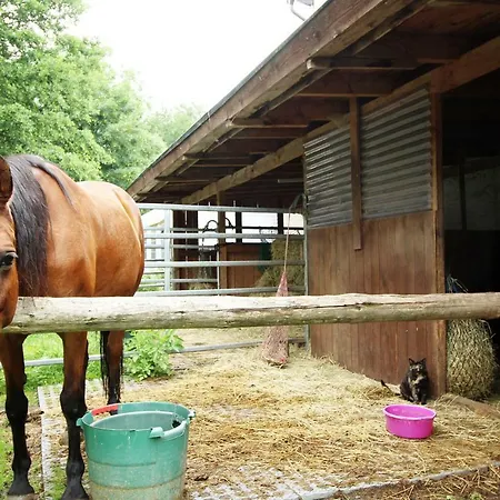 شقة Ulrichstein/ Bobenhausen Ii Bobenhausen Zwei