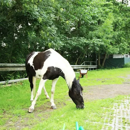 Ulrichstein/ Bobenhausen Ii * Bobenhausen Zwei