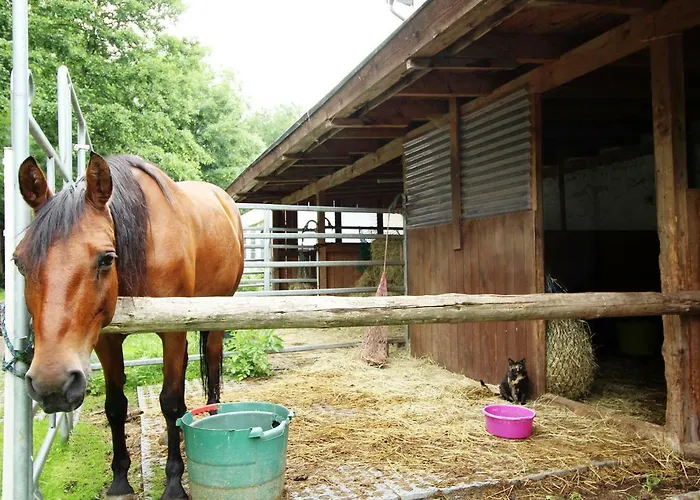 Apartment Ulrichstein/ Bobenhausen Ii Bobenhausen Zwei