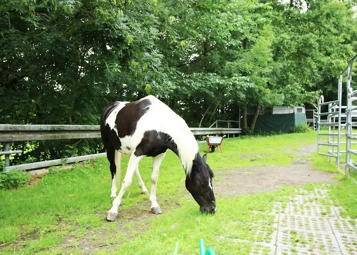 Ulrichstein/ Bobenhausen Ii * Bobenhausen Zwei